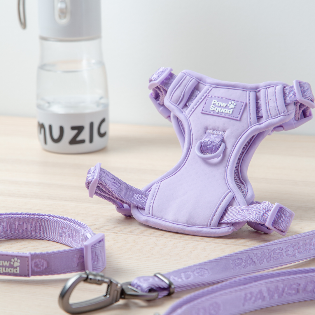 Lilac Dog Harness Purple Pet Harness