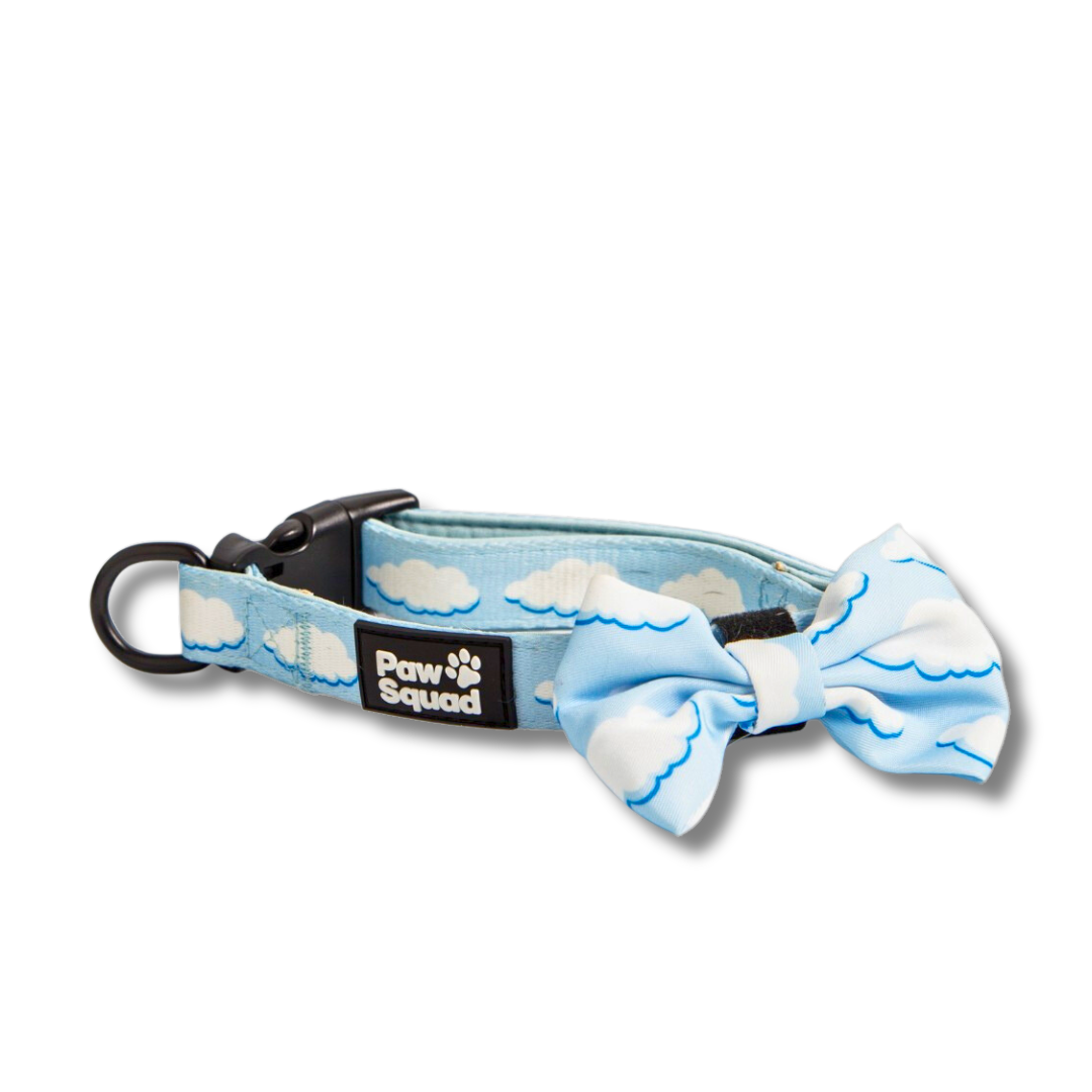 Above the Clouds Bow Tie
