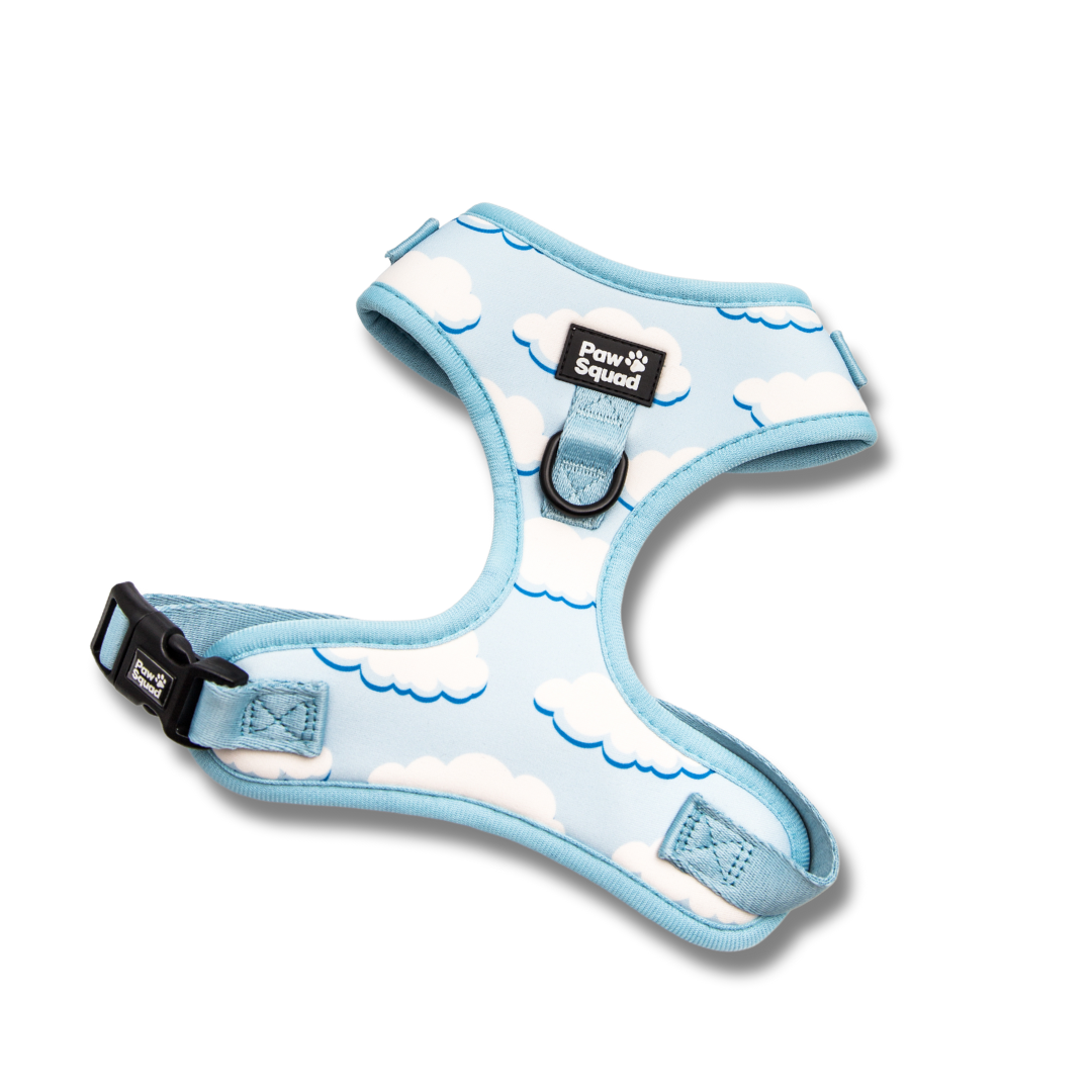 Above the Clouds Dog Harness