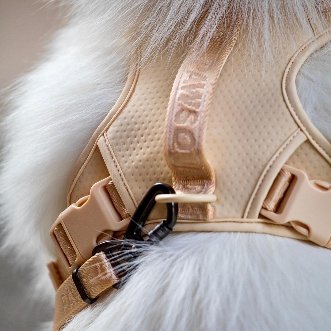 Strong Buckle Dog Harness