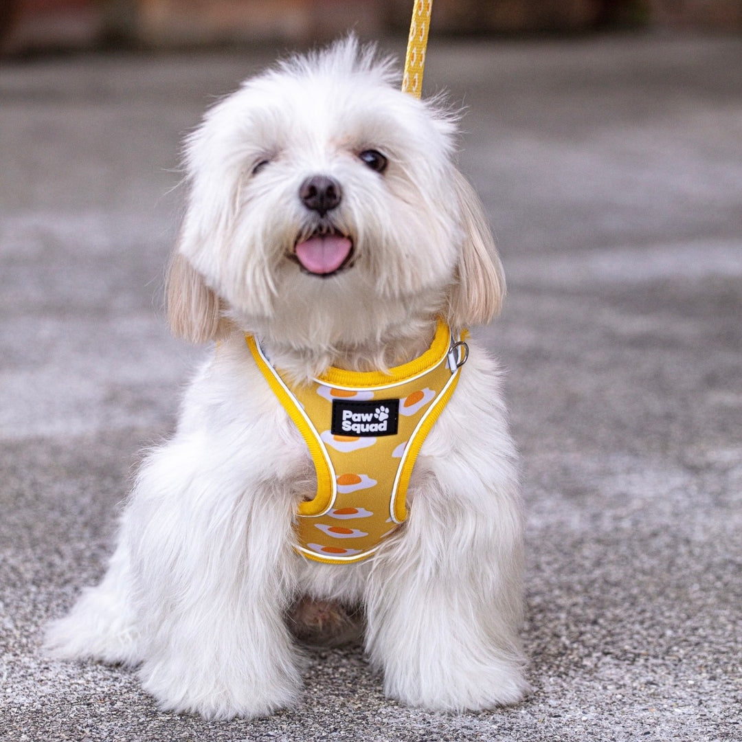 Step-On Puppy Dog Harness
