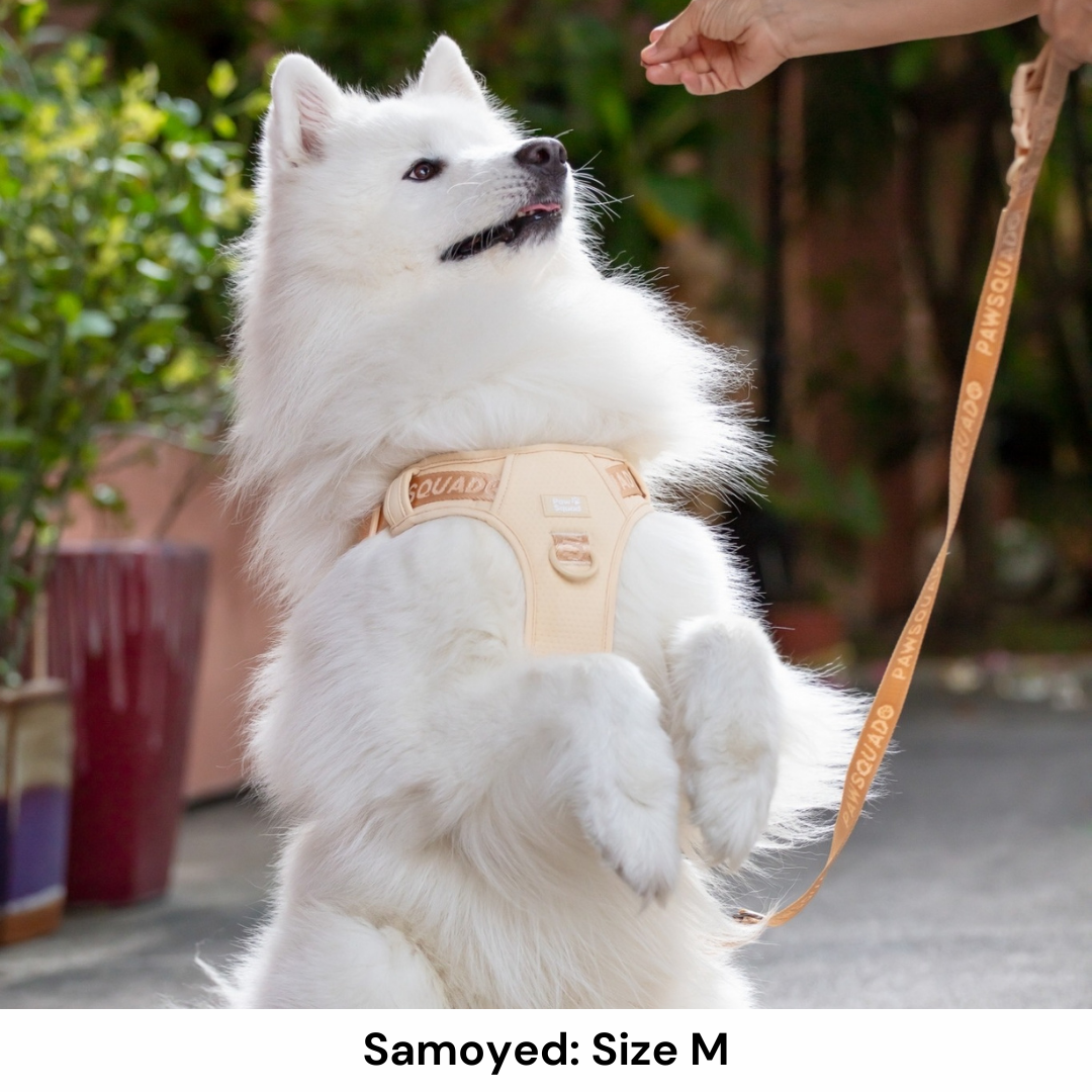 Dog harness Pet Harness Samoyed