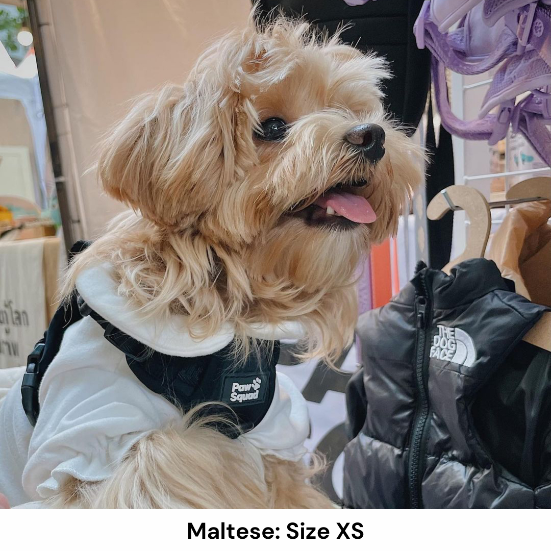 Maltese Dog Harness