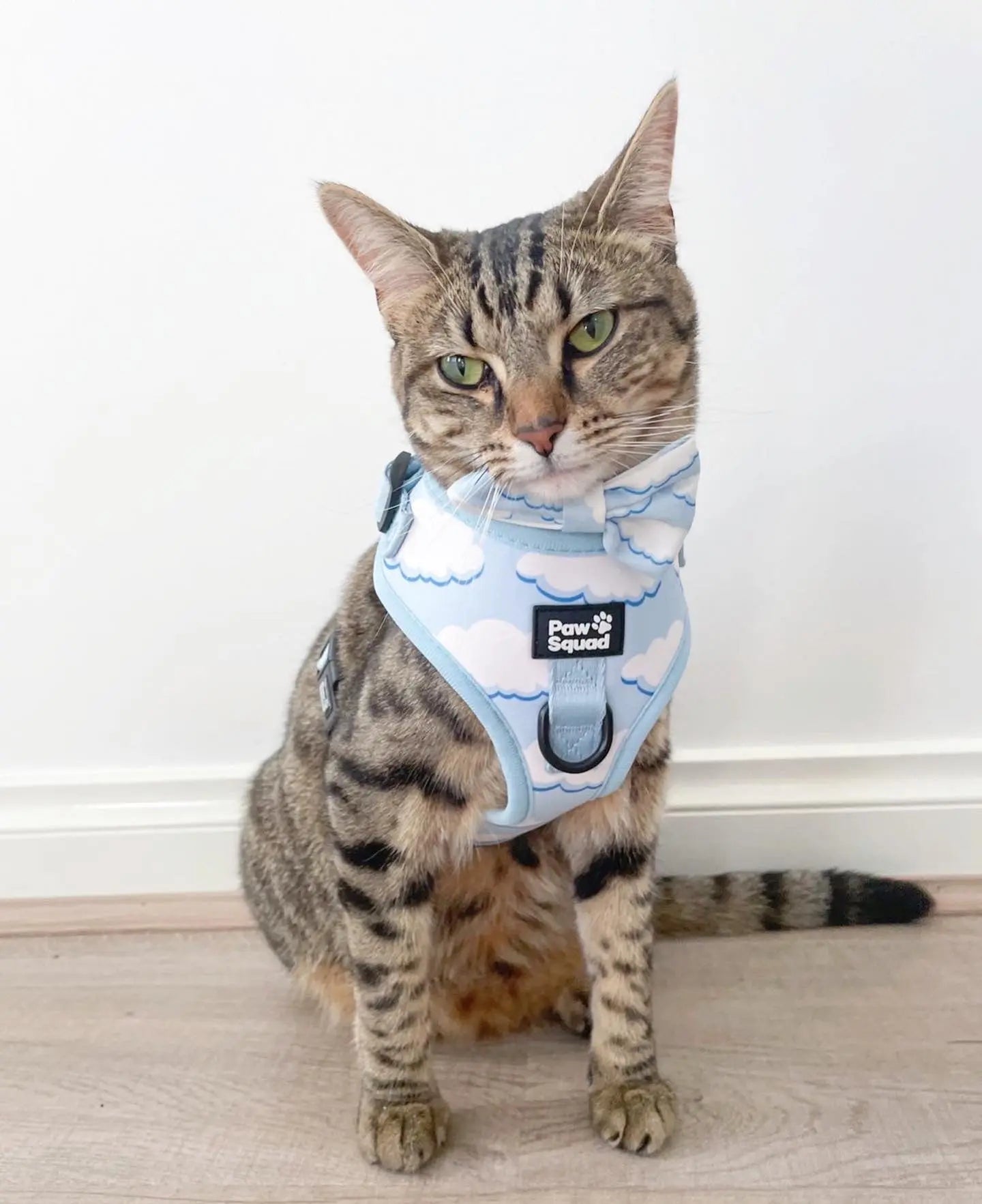 Above the Clouds Harness Pawsquad